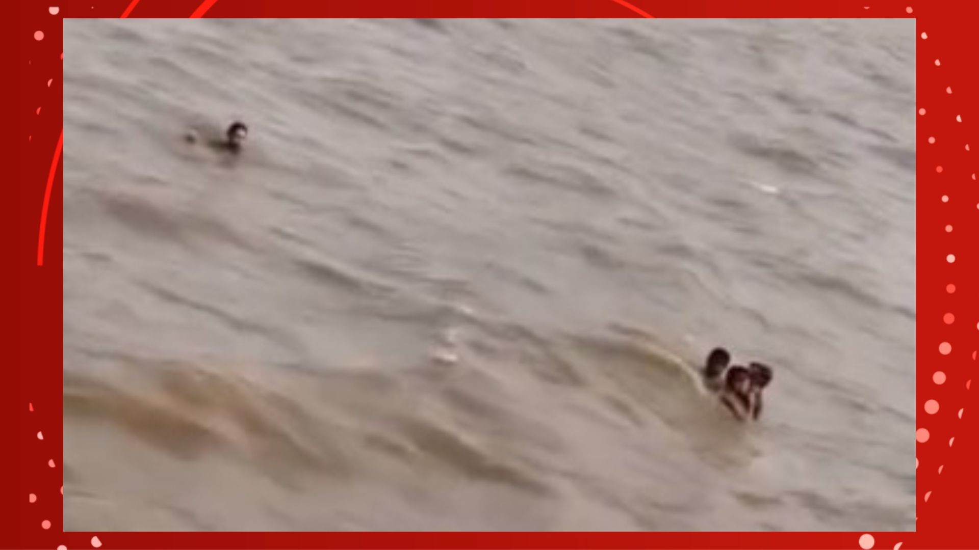 'Pensei nos meus filhos', diz dono de restaurante que salvou três crianças de afogamento no AP