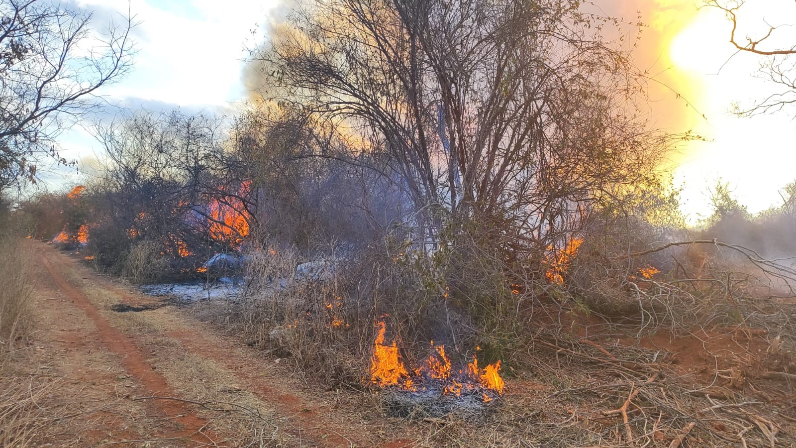 Incêndio mobiliza bombeiros por oito horas em Capitão Enéas