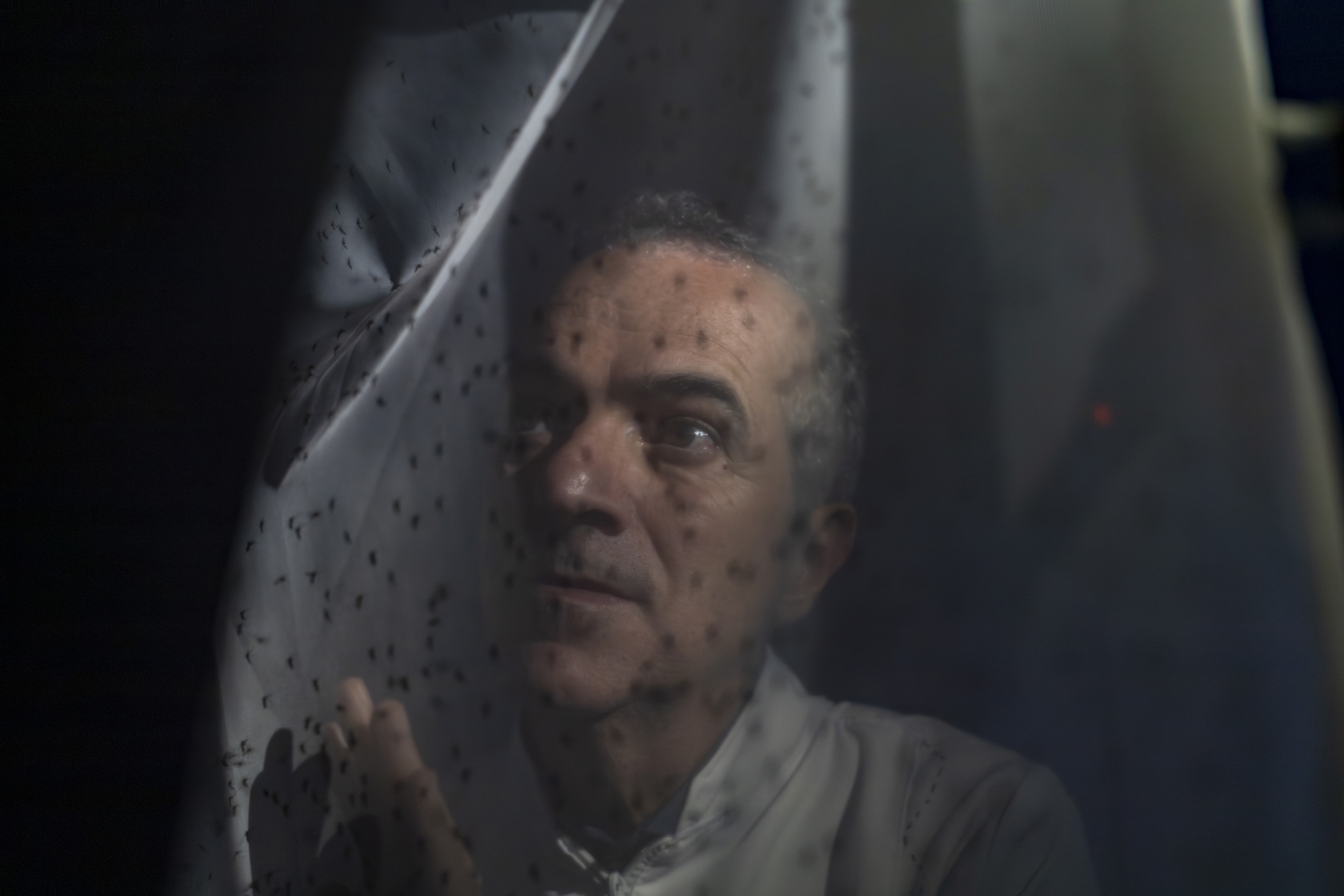 Brasileiro que criou mosquito Aedes que não transmite dengue entra na lista dos cientistas que mudaram a ciência em 2025