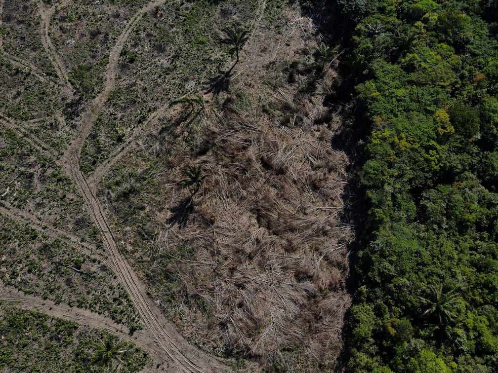 Sobrevoo mostra desmatamento em área da floresta amazônica em Manaus, no Amazonas. — Foto: REUTERS/Bruno Kelly/File Photo