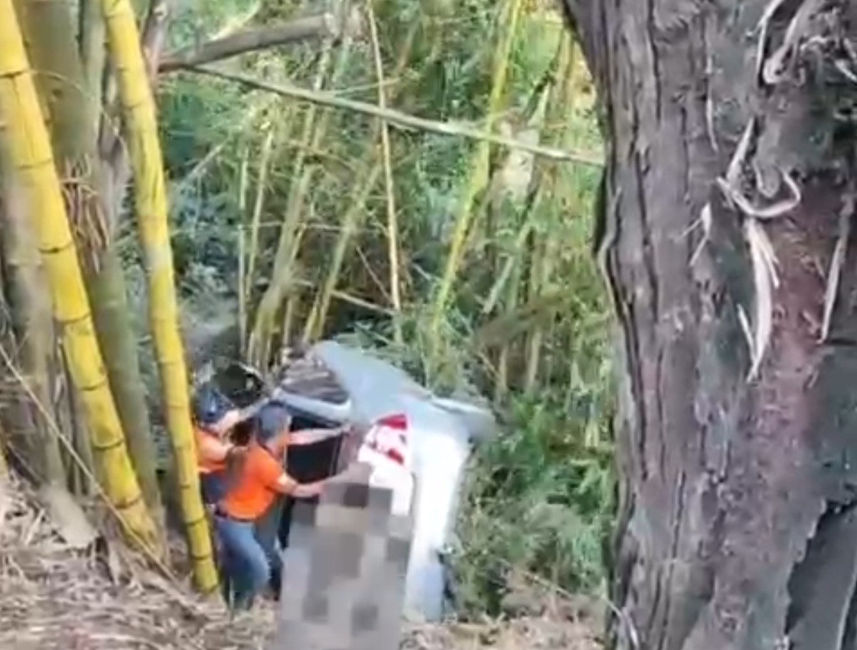 Bambuzal impede carro de despencar em ribanceira na RJ-220, em Porciúncula