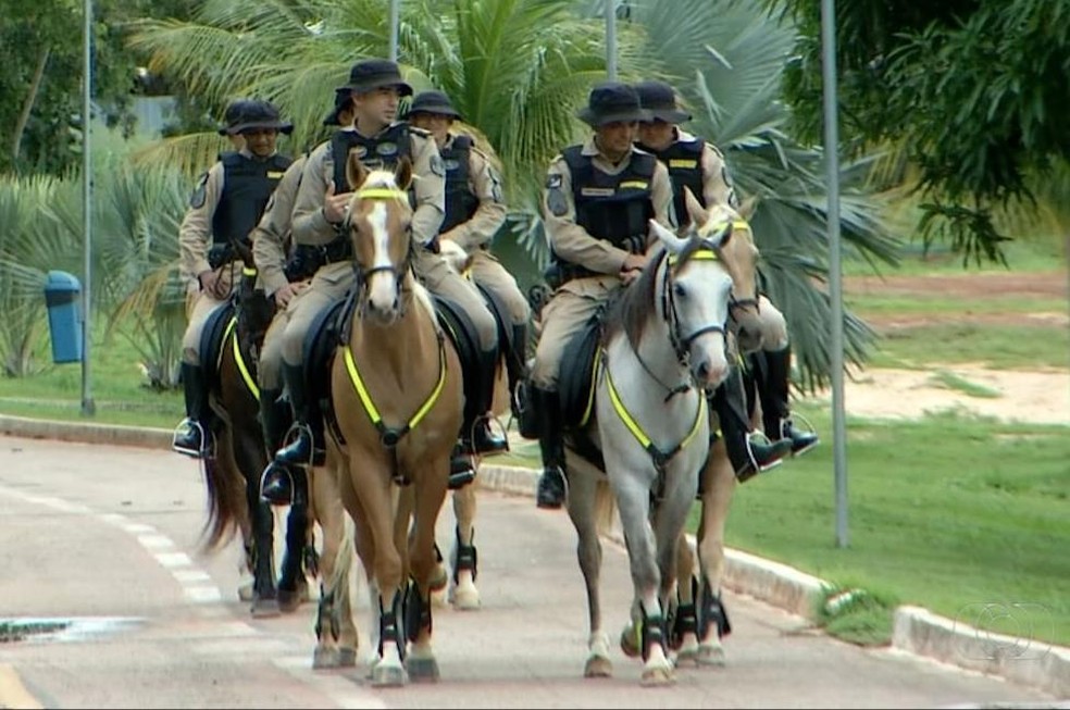 Cavalaria da Polícia Militar do RN completa 20 anos