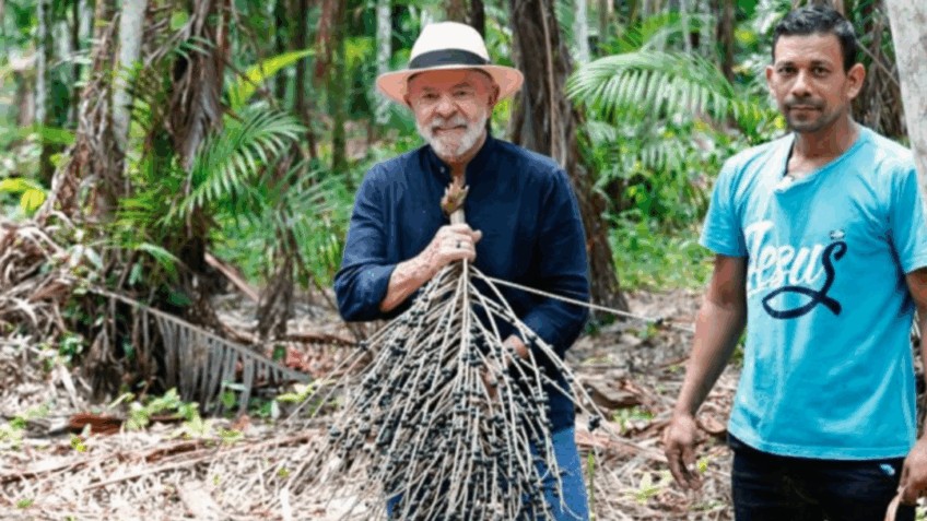 COP30: Lula visita quilombo no Pará, acompanha manejo do açaí e conhece robô que escala palmeiras para colher o fruto símbolo da Amazônia