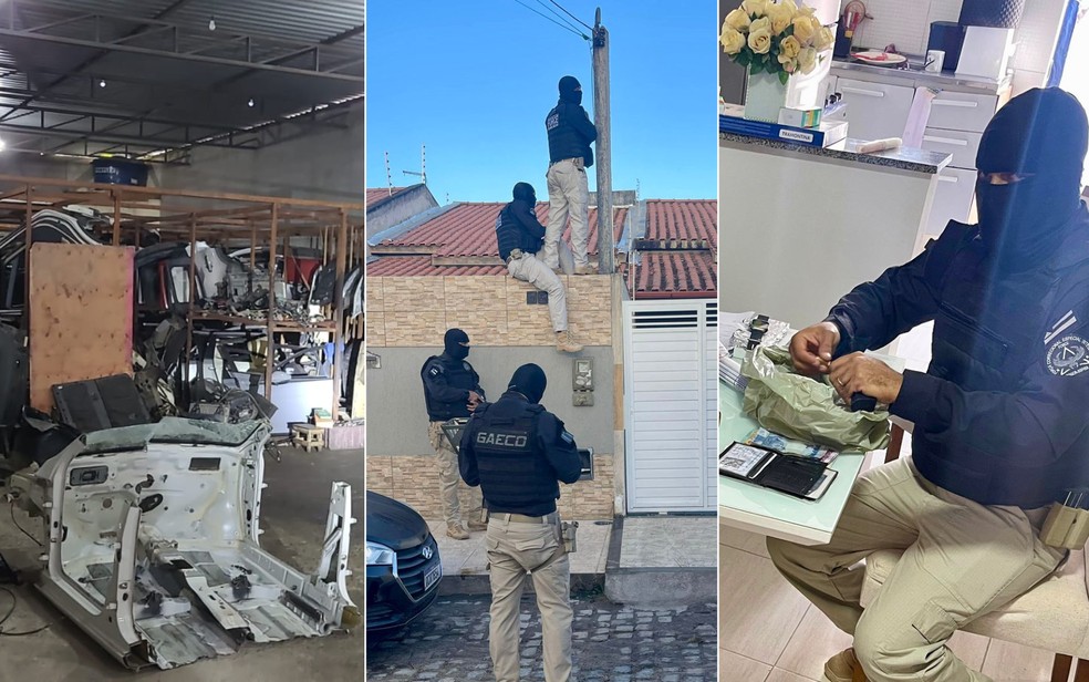 Apreensões aconteceram em imóveis dos investigados — Foto: Polícia Federal