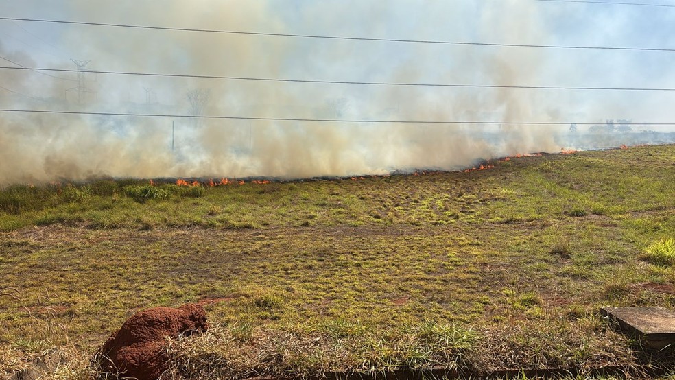 Maranhão é o 2º estado com mais focos de queimadas no Brasil, aponta INPE — Foto: Divulgação/Equatorial Maranhão