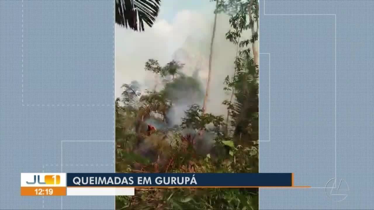 Queimadas atingem 'Ilha Grande' no Marajó e reserva 'Verde Para Sempre' em Porto de Moz, no Pará