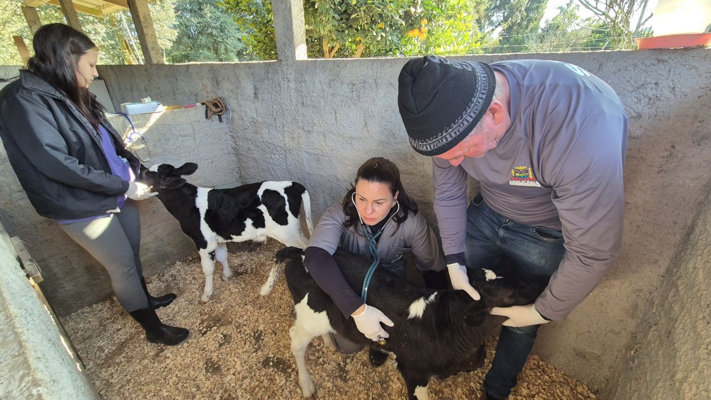 Prefeitura oferece atendimento veterinário gratuito a pequenos pecuaristas