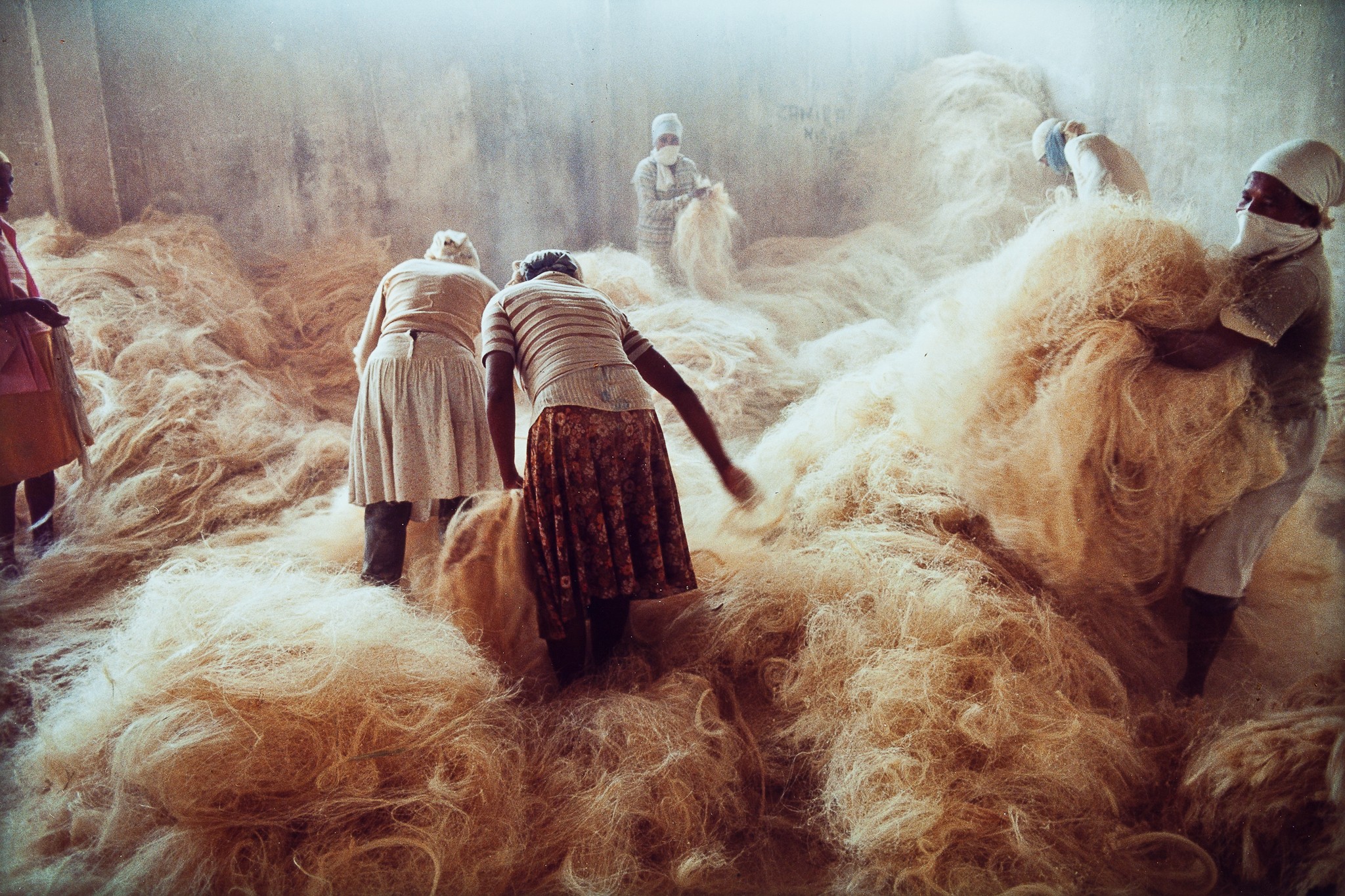 Salvador recebe exposição feita para a cúpula do G20 que conta a história da arte brasileira