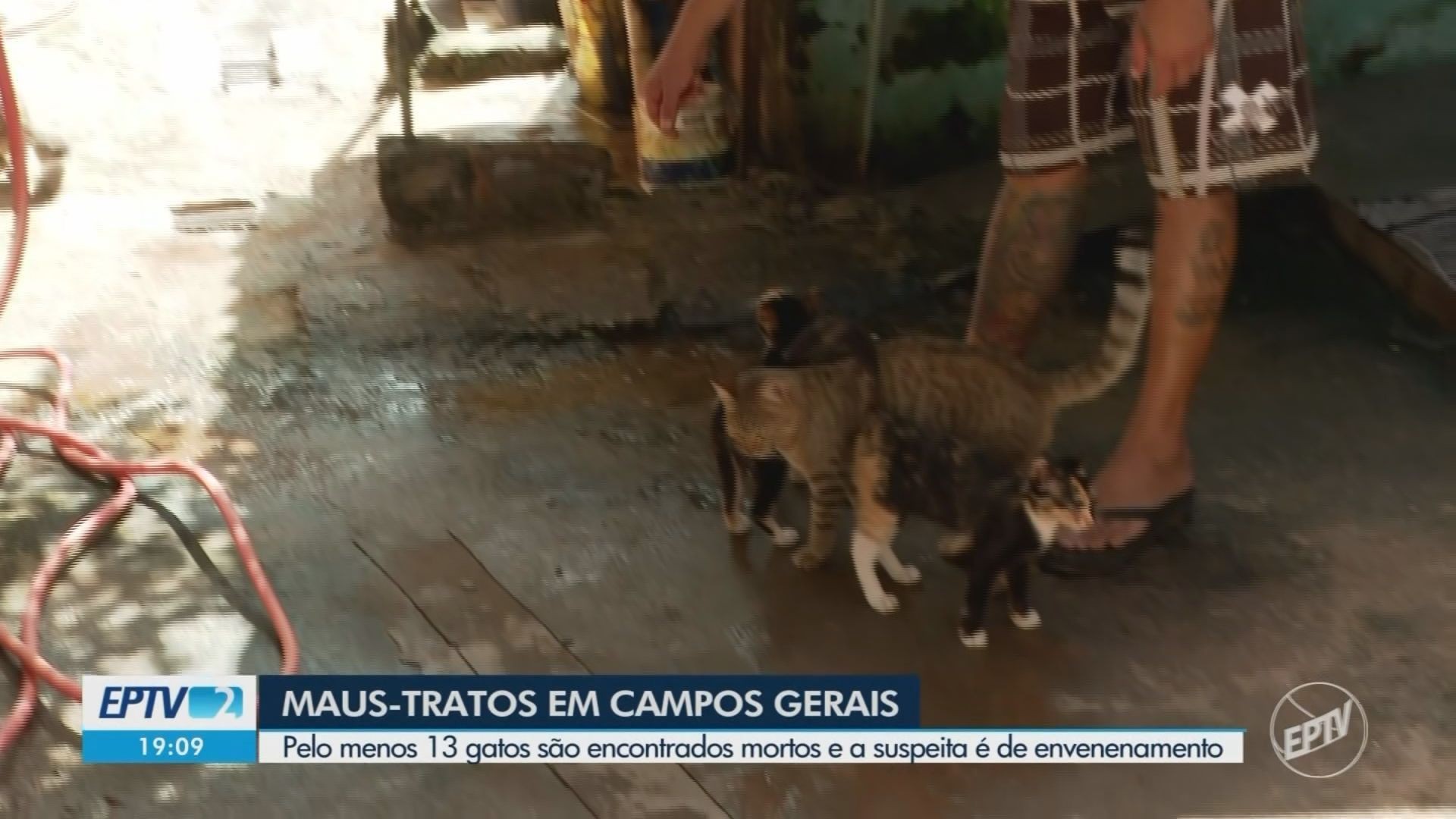 VÍDEOS: EPTV 2 Sul de Minas de terça-feira, 7 de abril de 2026