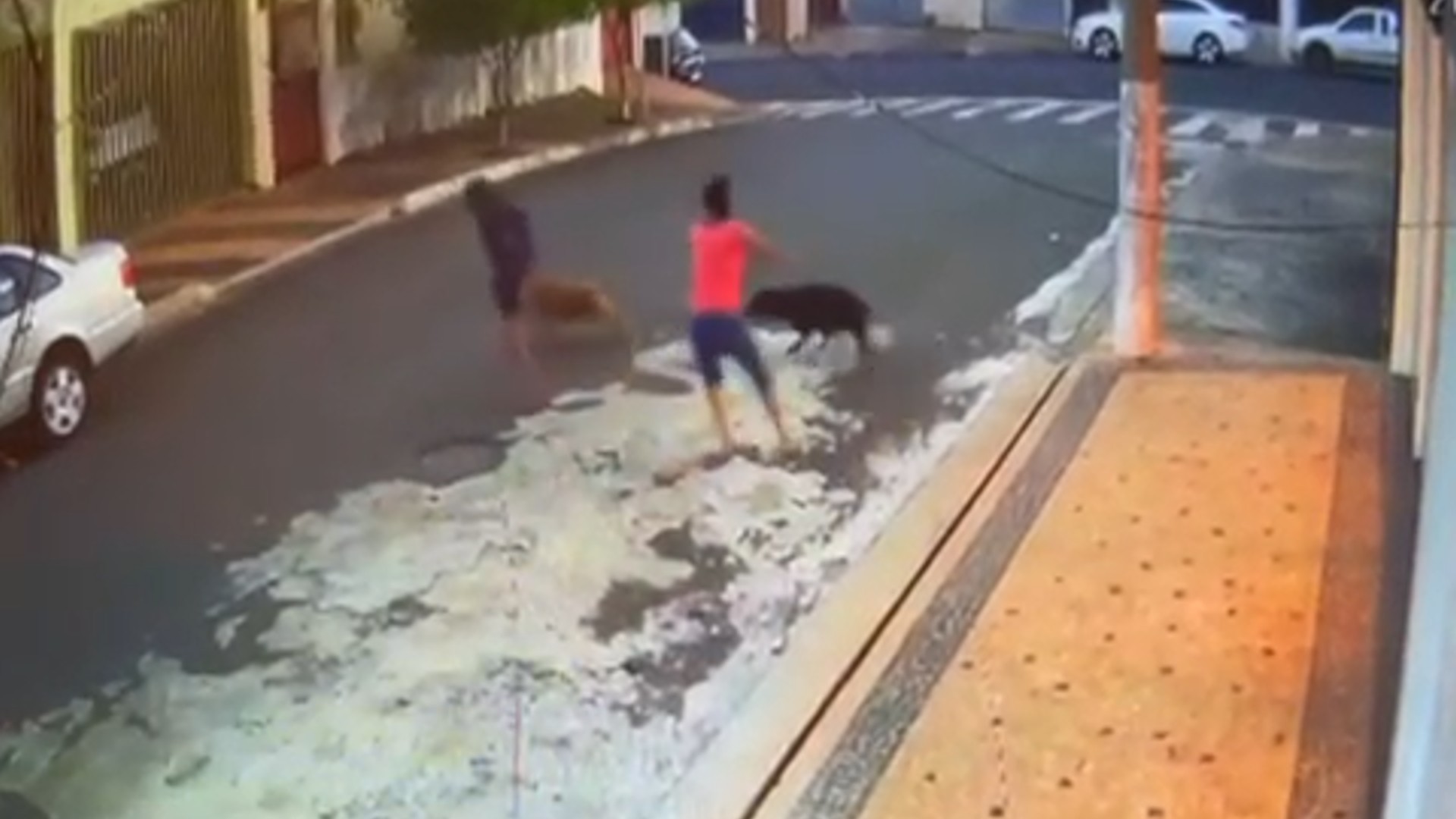 VÍDEO: menino tem couro cabeludo arrancado em ataque de cães pit bull e fica em estado grave