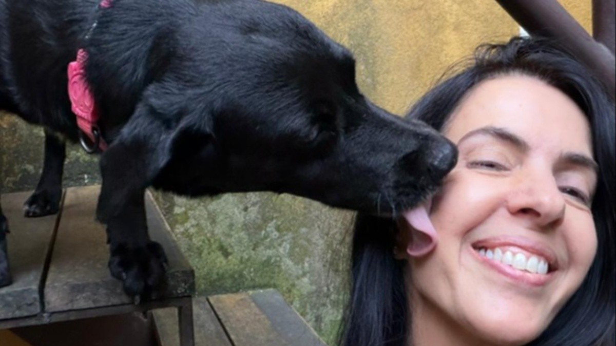 Rapel, cão resgatado de encosta na Zona Sul do Rio, ganha lar temporário: 'receber carinho e ser bem cuidado', diz tutora