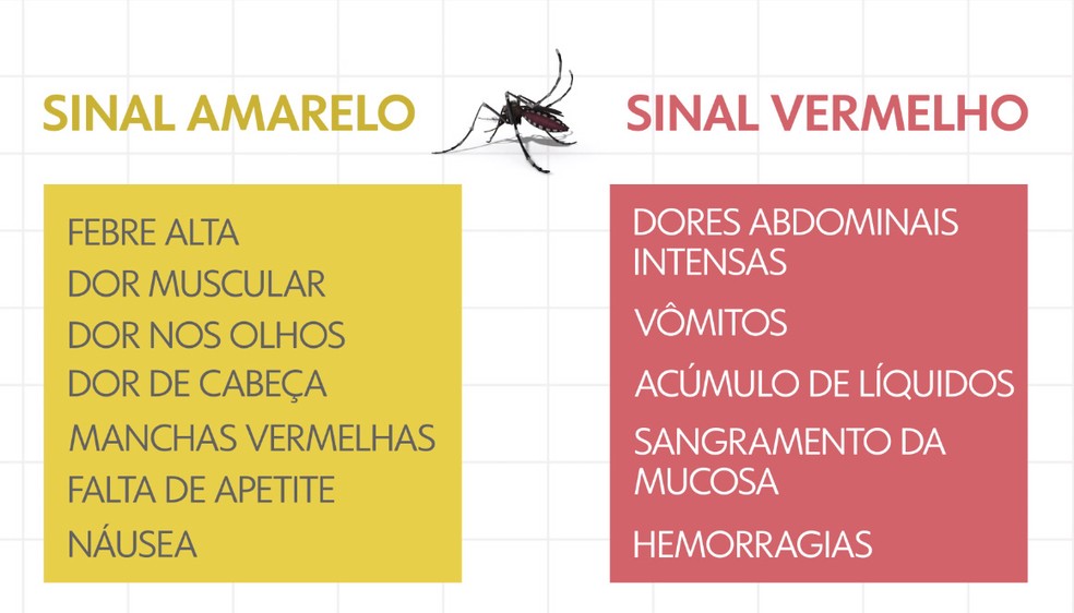 Sintomas dengue — Foto: Arte/TV Globo