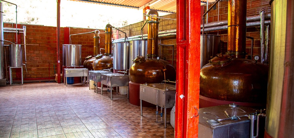 Engenho Triunfo é um dos principais produtores de cachaça da Paraíba. — Foto: Reprodução/Engenho Triunfo