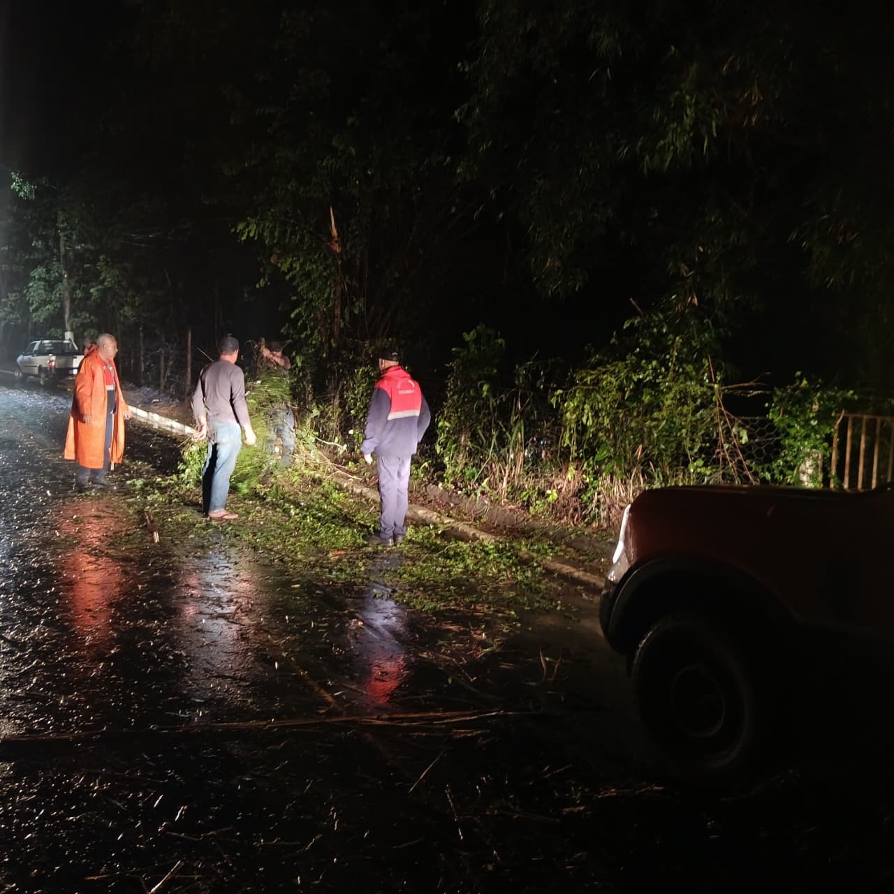 Chuva provoca quedas de árvores e deslizamento de terra em Itatiaia