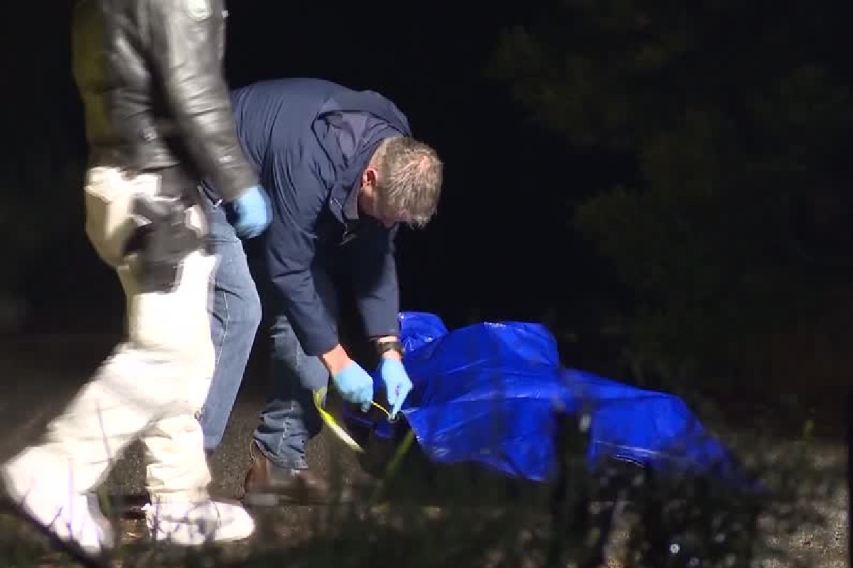 Boneca sexual é 'confundida' com vítima de assassinato na Austrália