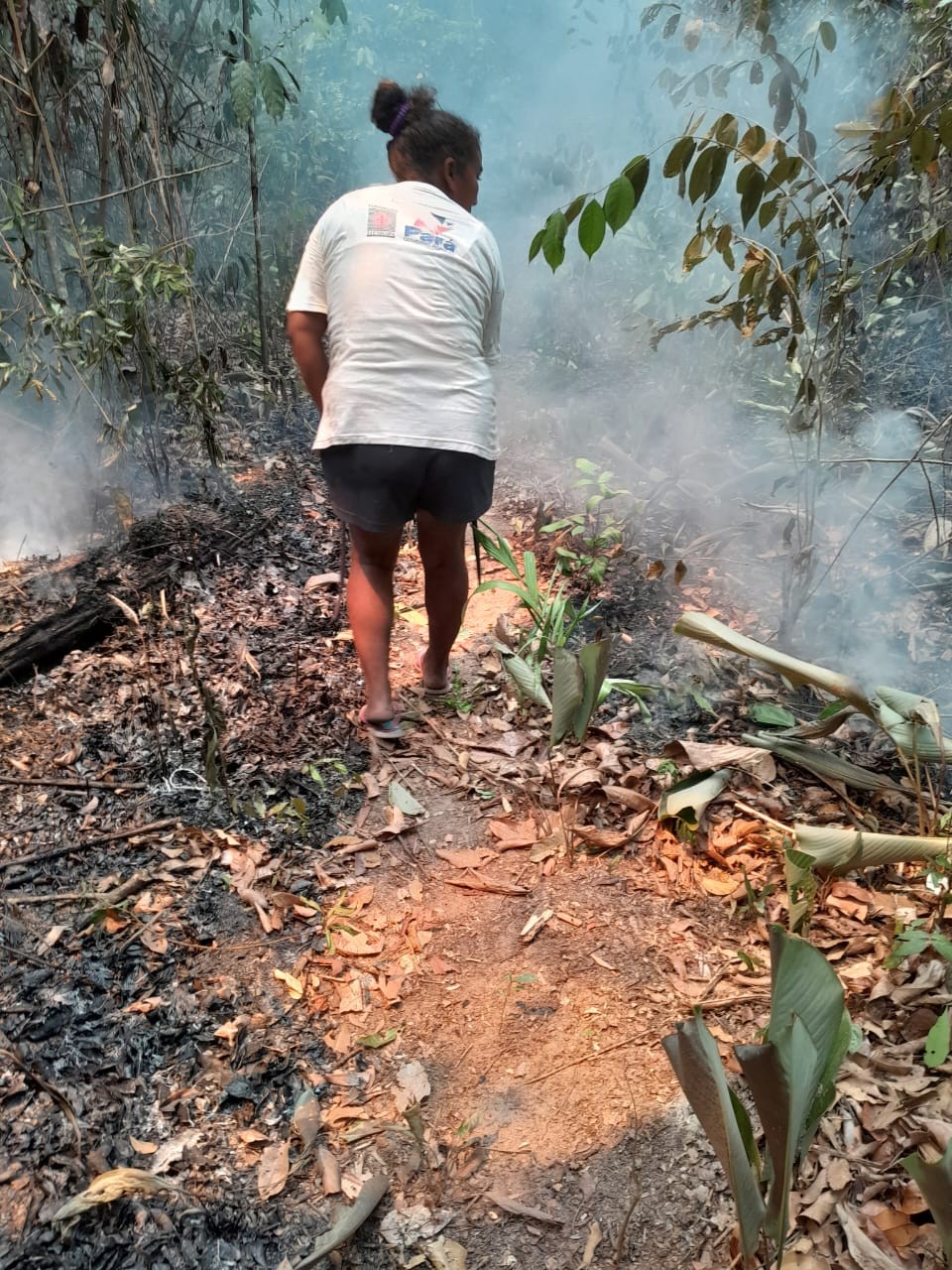 MPF pede providências contra megaincêndios que já destruíram mais da metade da TI Anambé, no Pará