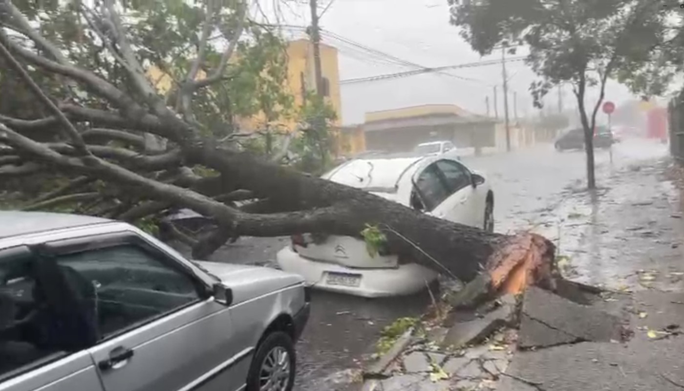 Temporal derruba 20 árvores, causa falta de energia e transtornos no domingo de eleições em Cosmópolis 