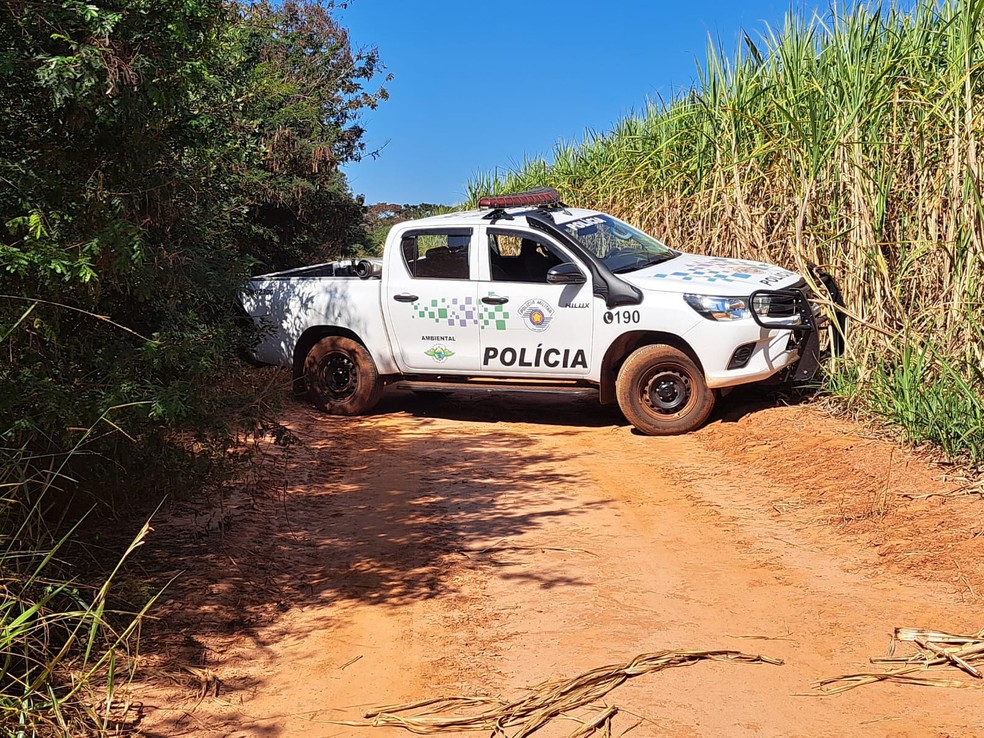 Operação Huracan registra irregularidades em aceiros de lavouras do Oeste Paulista — Foto: Polícia Ambiental