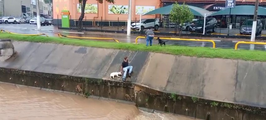 VÍDEO: entregadores resgatam dois cachorros presos em córrego em Valinhos