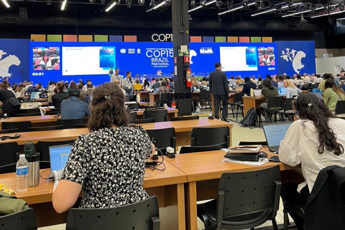 COP15: Como animais do Pantanal ajudam a frear mudanças climáticas