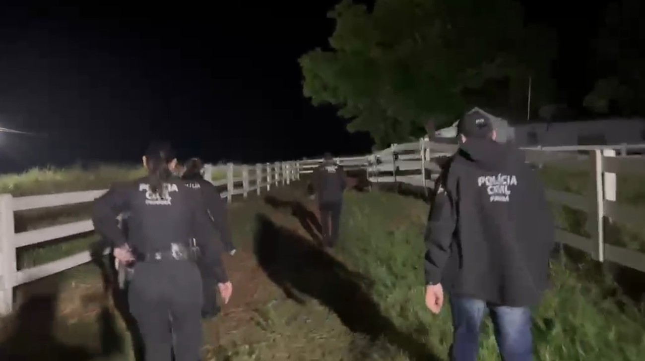 Grupo criminoso que furtou mais de 2 mil cabeças de gado no Paraná desde 2019 é alvo de operação