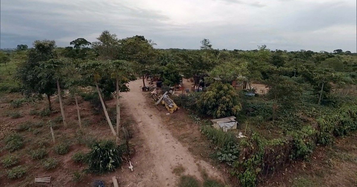 O que diz projeto no Congresso que muda licenciamento ambiental, é defendido por ruralistas e divide governo Lula