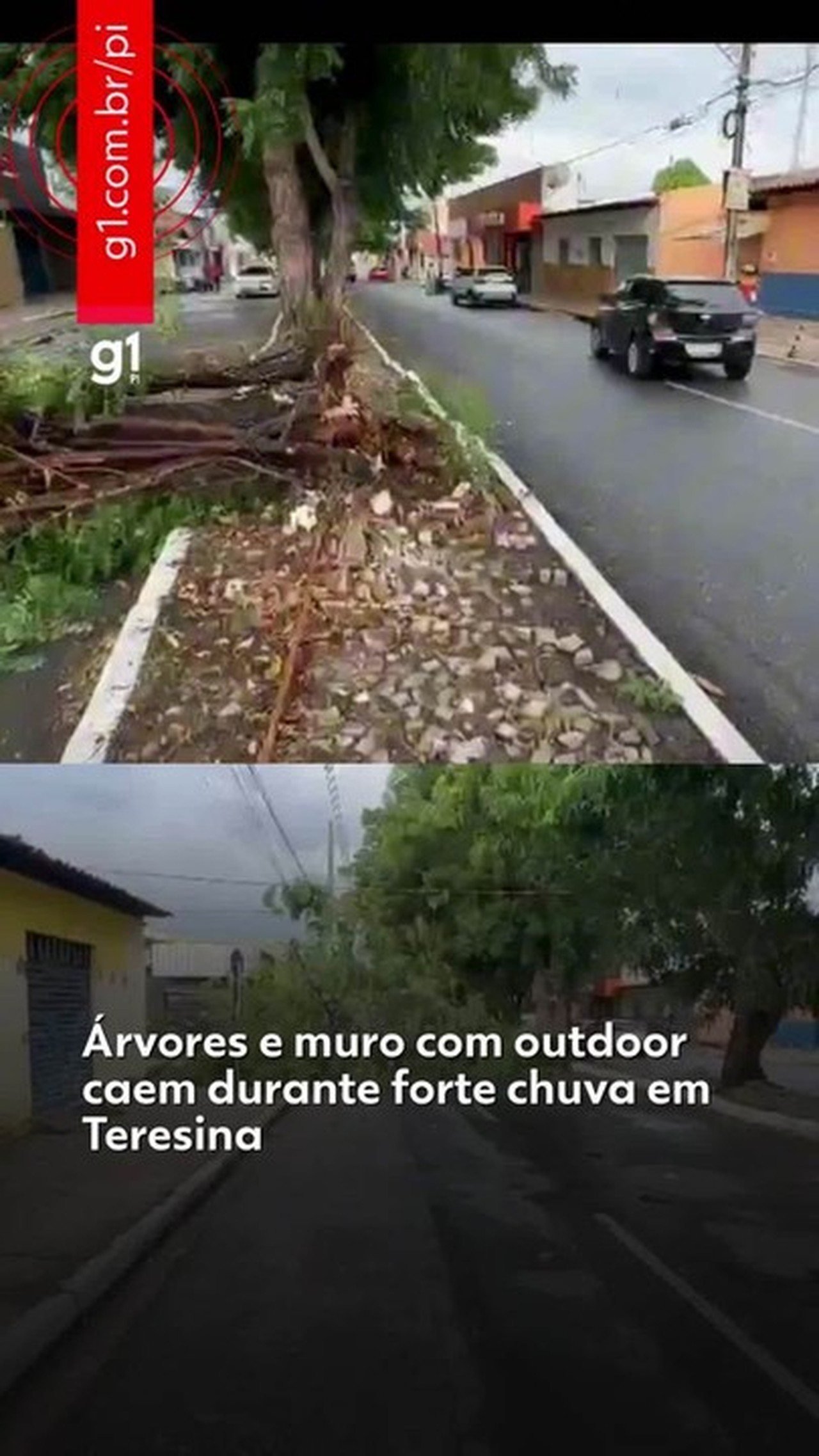 Carro é arrastado por água e mais de 13 árvores caem durante chuva em Teresina 