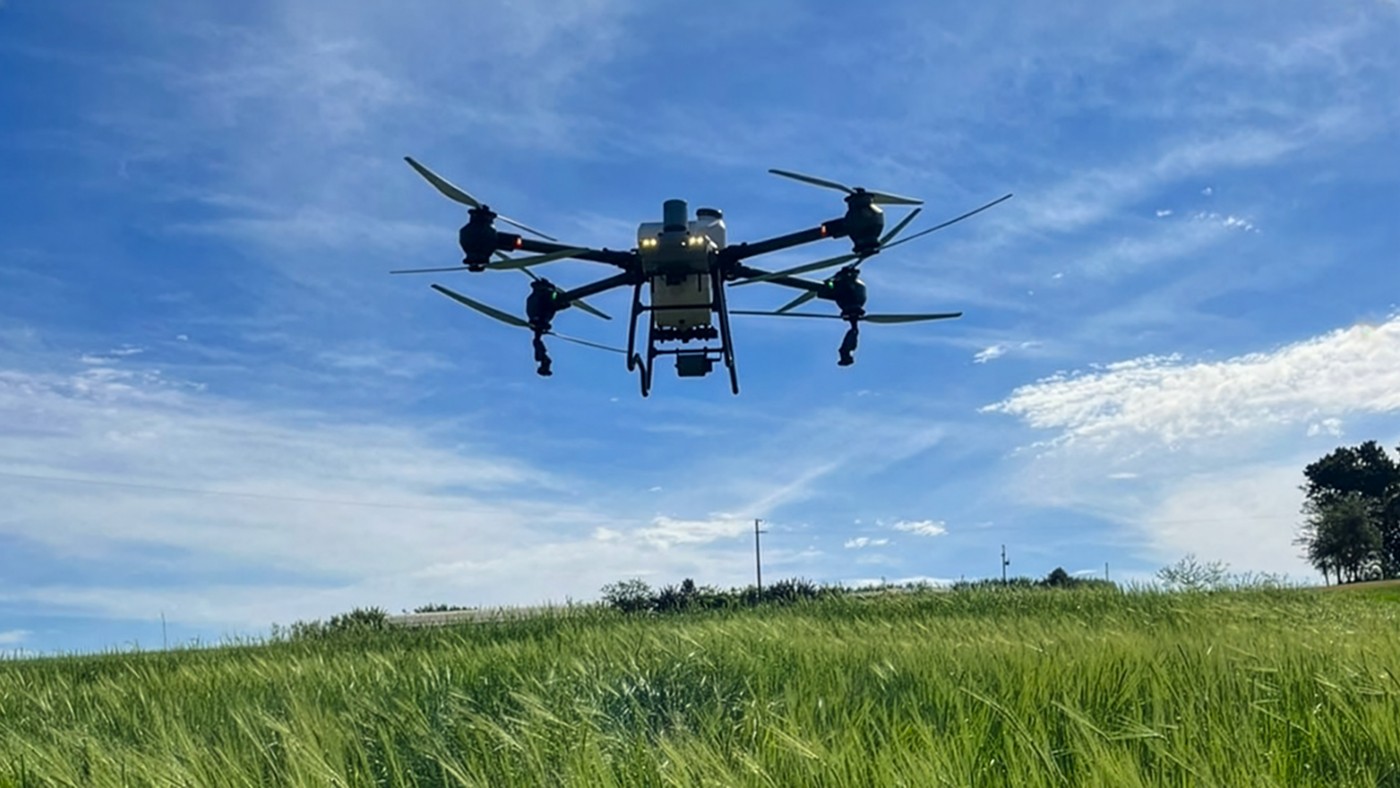 No céu das lavouras: drones transformam o agro do Oeste do Paraná