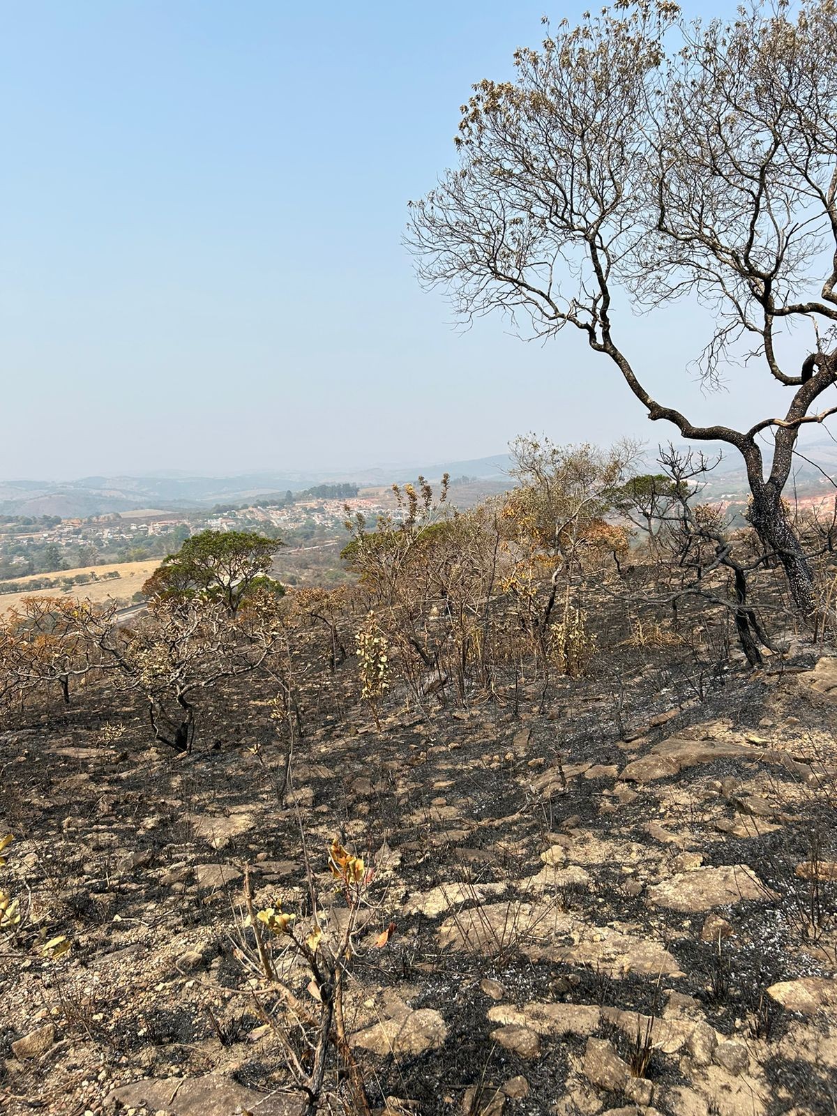 Homem é multado em quase R$ 1 milhão por causar queimada em área de 140 campos de futebol em MG; isqueiro foi usado no crime 