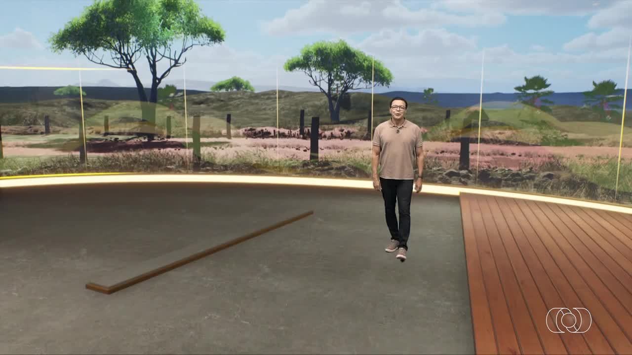 VÍDEOS: Jornal do Campo deste domingo, 5 de abril de 2026