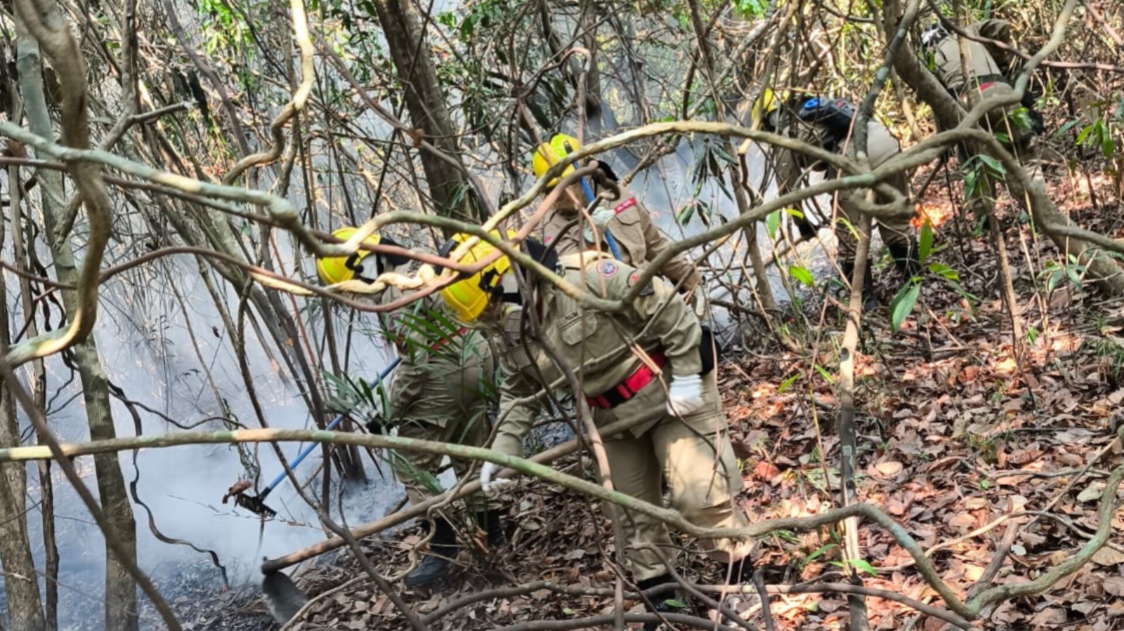 Em 24 horas, mais de 30 focos de incêndio são registrados na Região Metropolitana de Manaus