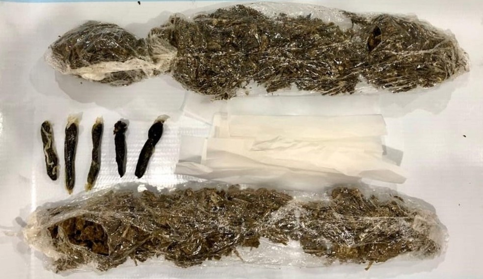 Mulher de detento é presa ao tentar entrar com maconha escondida no cós da calça na Penitenciária de Pracinha (SP) — Foto: SAP