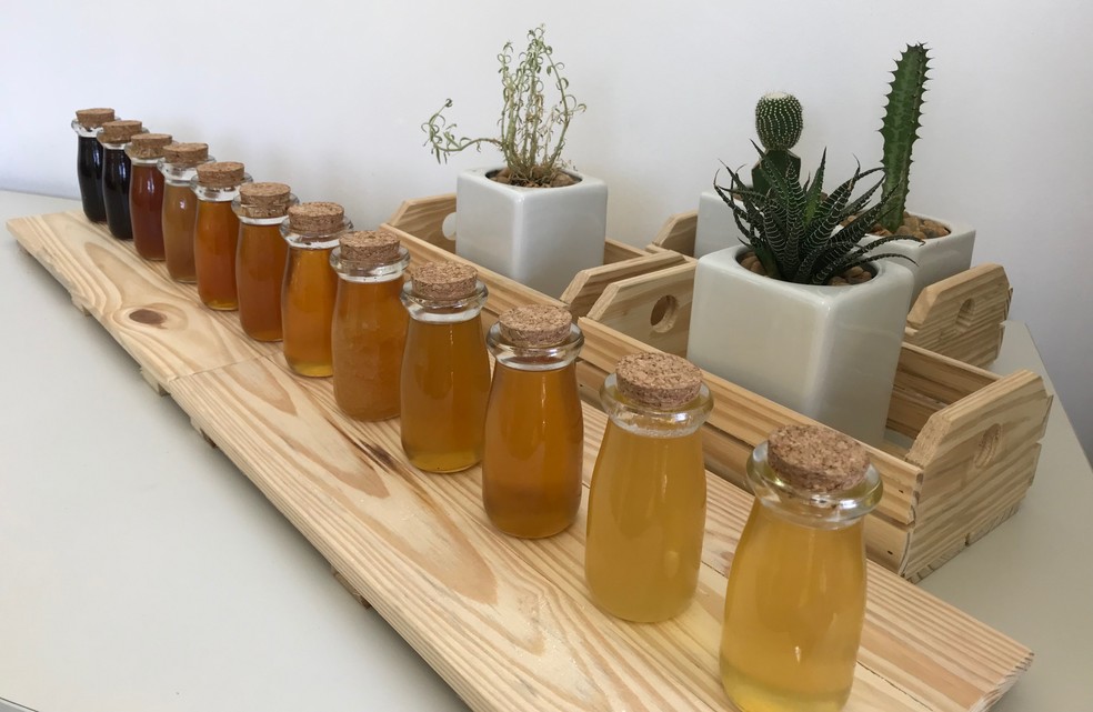 Mel de diferentes espcies de abelhas e de diferentes floradas  Foto: Cristiano Menezes