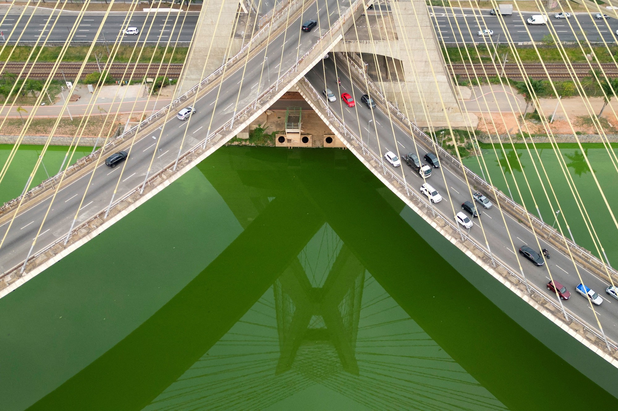 Why do most Brazilians work today, but São Paulo has time off? Understand reason and rules