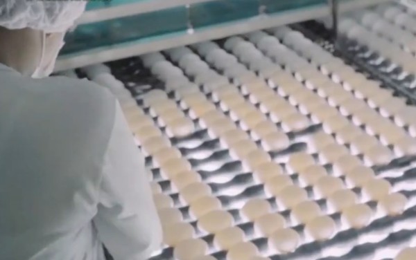 Granja em Goiatuba deverá produzir até 360 mil ovos por dia para vacina  Butanvac, diz empresa, Goiás