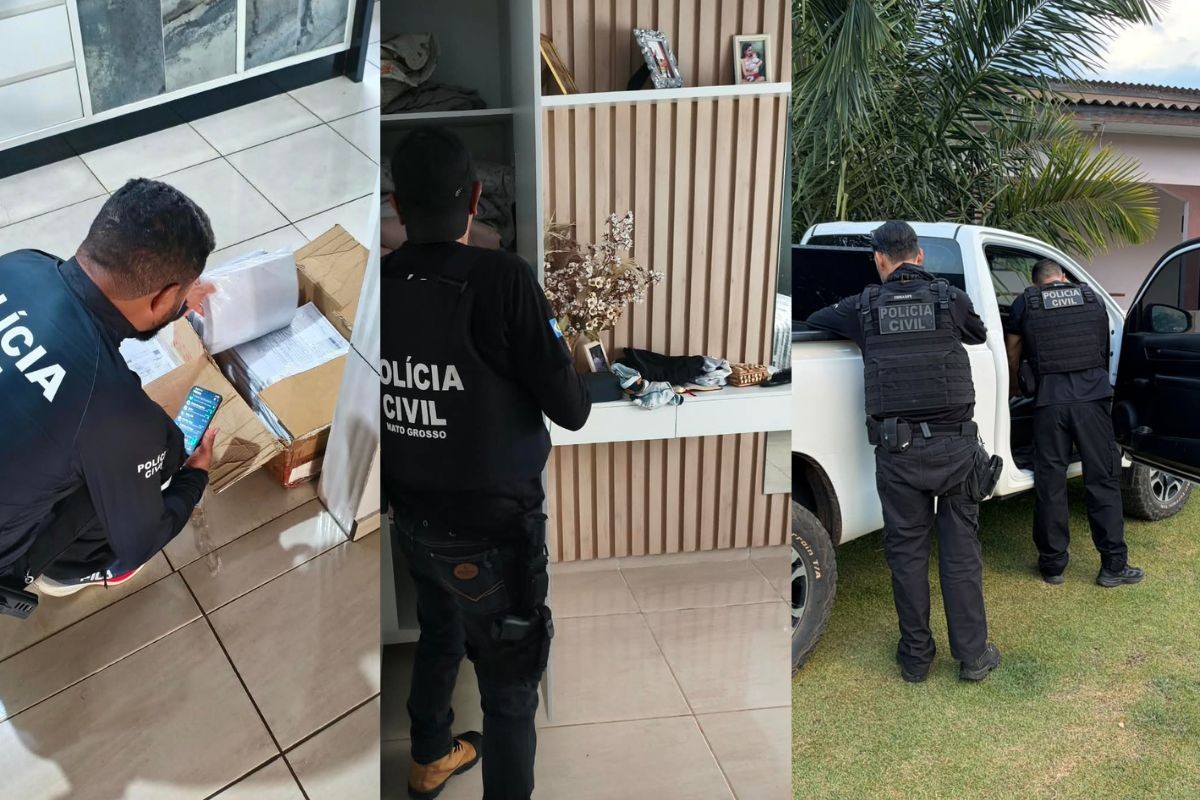 Operação mira esquema de sonegação de impostos na venda de gado entre MT e RO