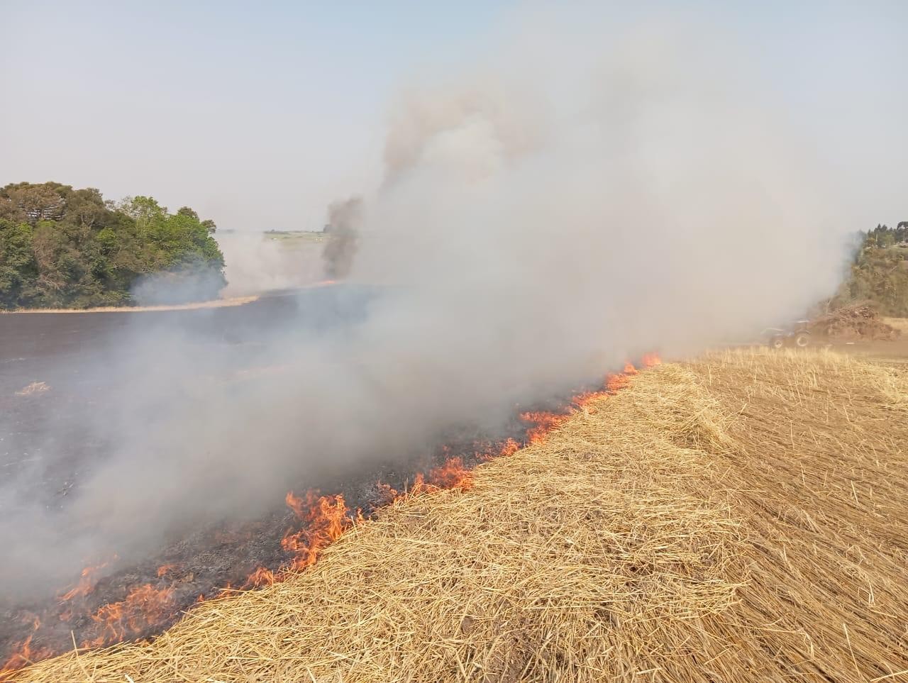 Dois homens são presos por atear fogo em plantação de agricultor no Paraná, diz delegado