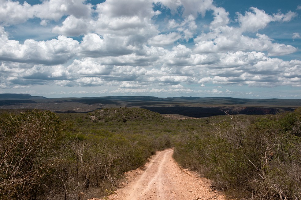 Parque Nacional do Boqueirão da Onça possui 347 mil hectares protegidos para preservação da caatinga e das espécies que vivem na região, como a onça-pintada, a onça-parda e a arara-azul-de-lear. — Foto: Marcelo Brandt/G1