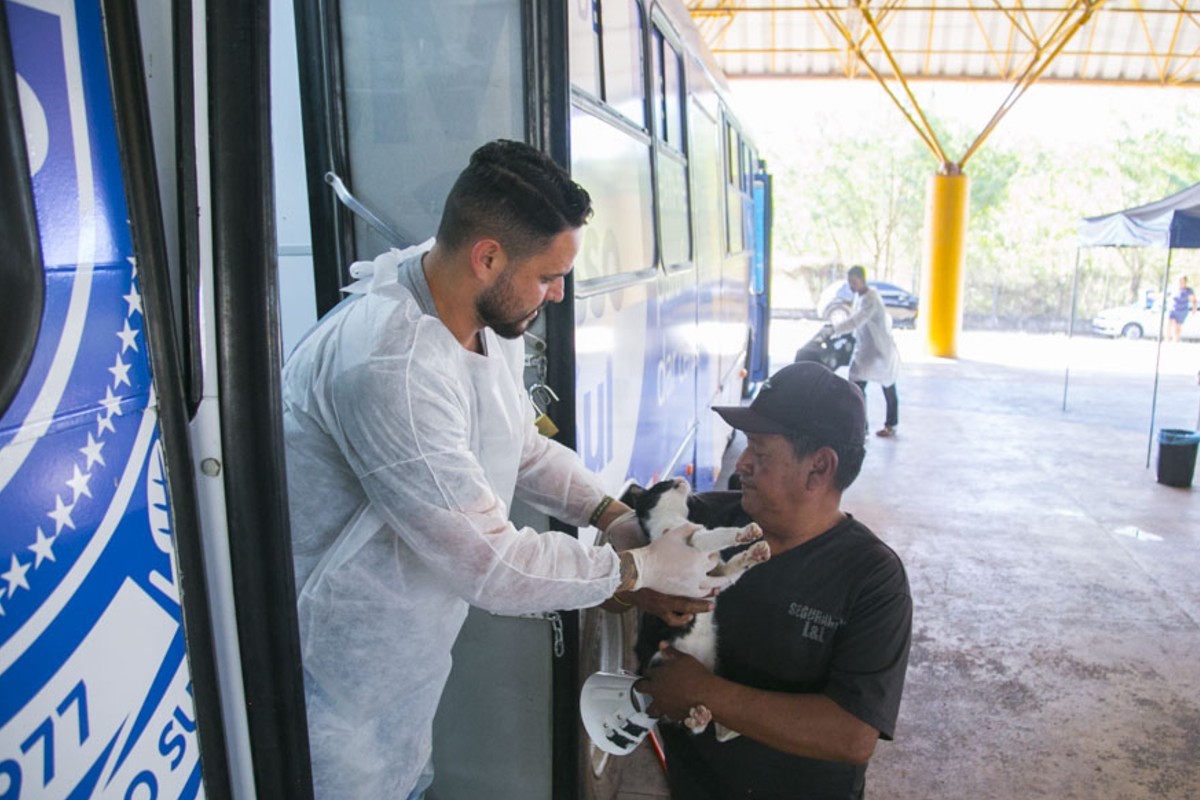 Caravana da Castração oferece 1,7 mil vagas gratuitas para pets em Campo Grande; veja como agendar