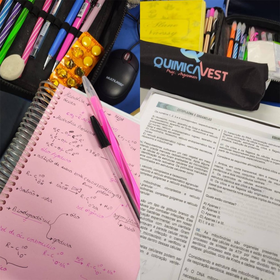 Preparação de radiologista de 35 anos para o Enem — Foto: Arquivo Pessoal
