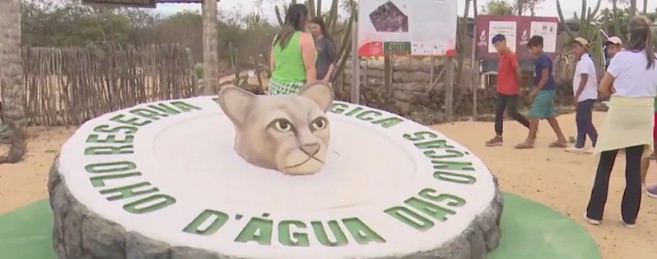 Reserva ecológica ajuda a preservar a Caatinga e promove ecoturismo na Paraíba