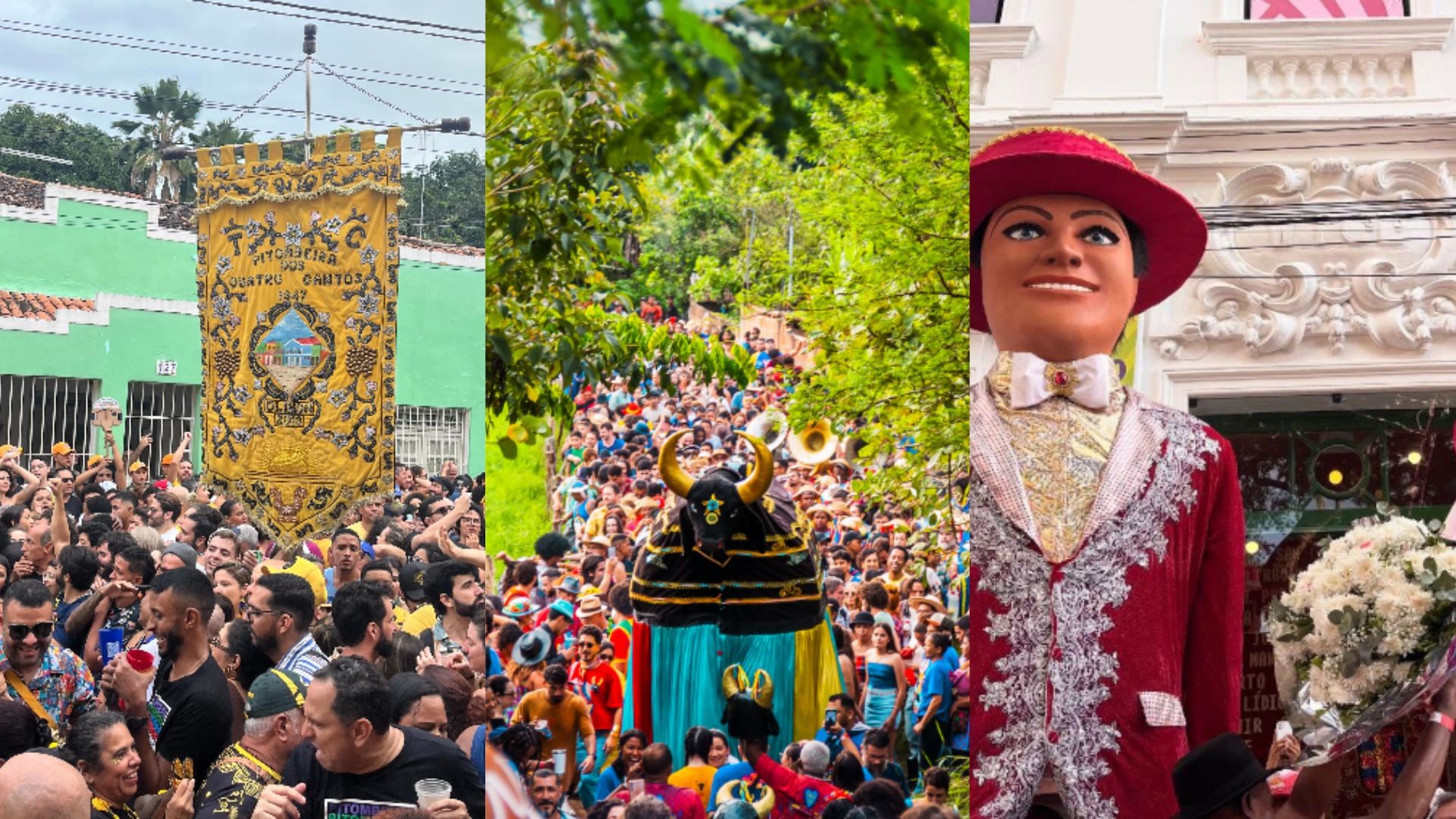 Pitombeira, Baile da Macuca com Paulinho da Viola e mais: confira agenda de prévias de carnaval no Recife e em Olinda