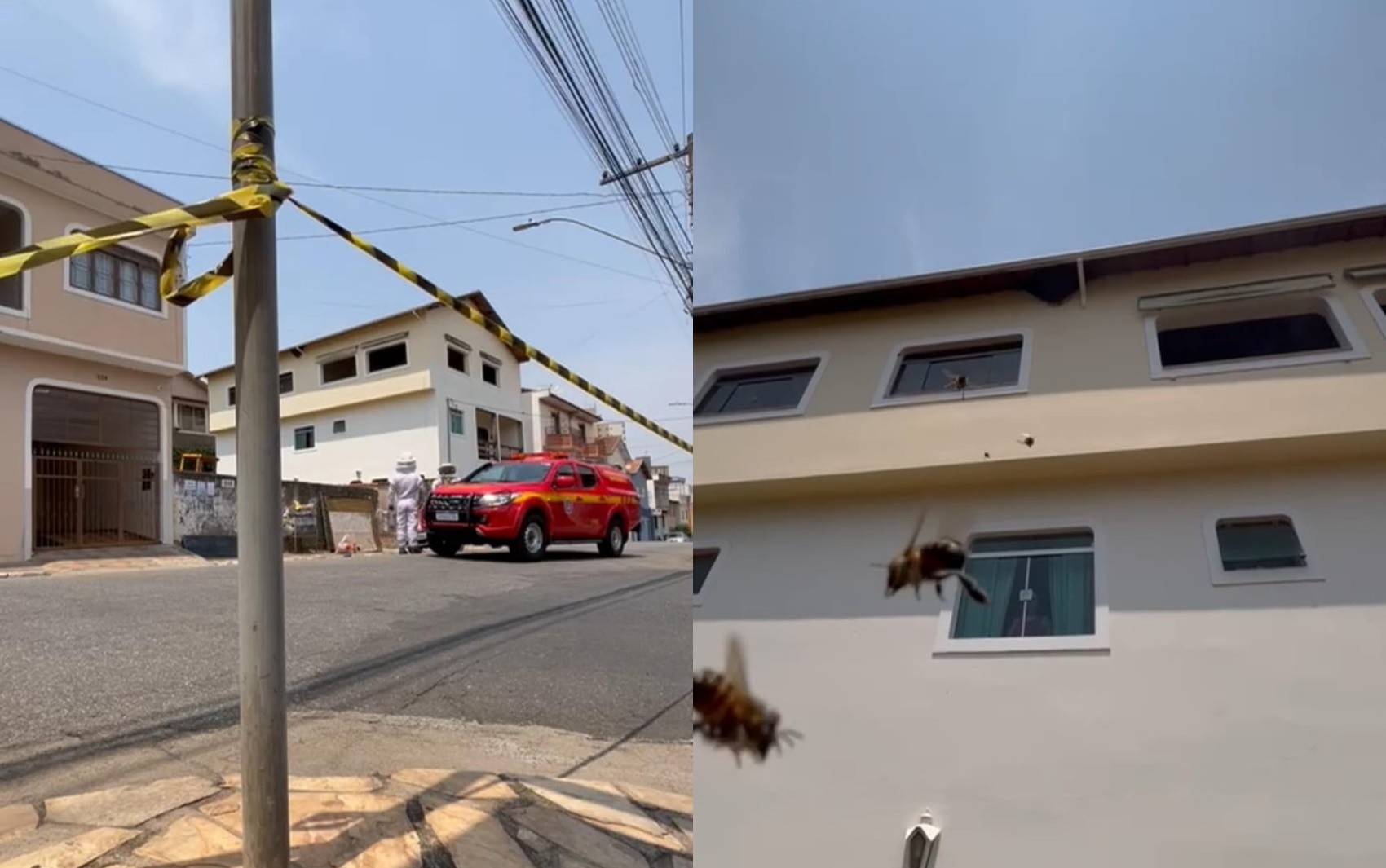 Enxame de abelhas ataca moradores e três pessoas ficam feridas no bairro Santo Antônio, em Pouso Alegre, MG