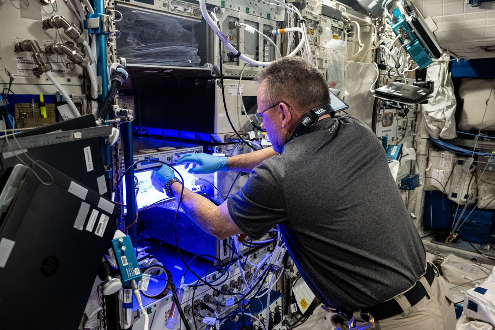 O astronauta da Nasa Butch Wilmore instala um medidor de luz no laboratório Veggie para ajustar a iluminação em um experimento com plantas. — Foto: Nasa