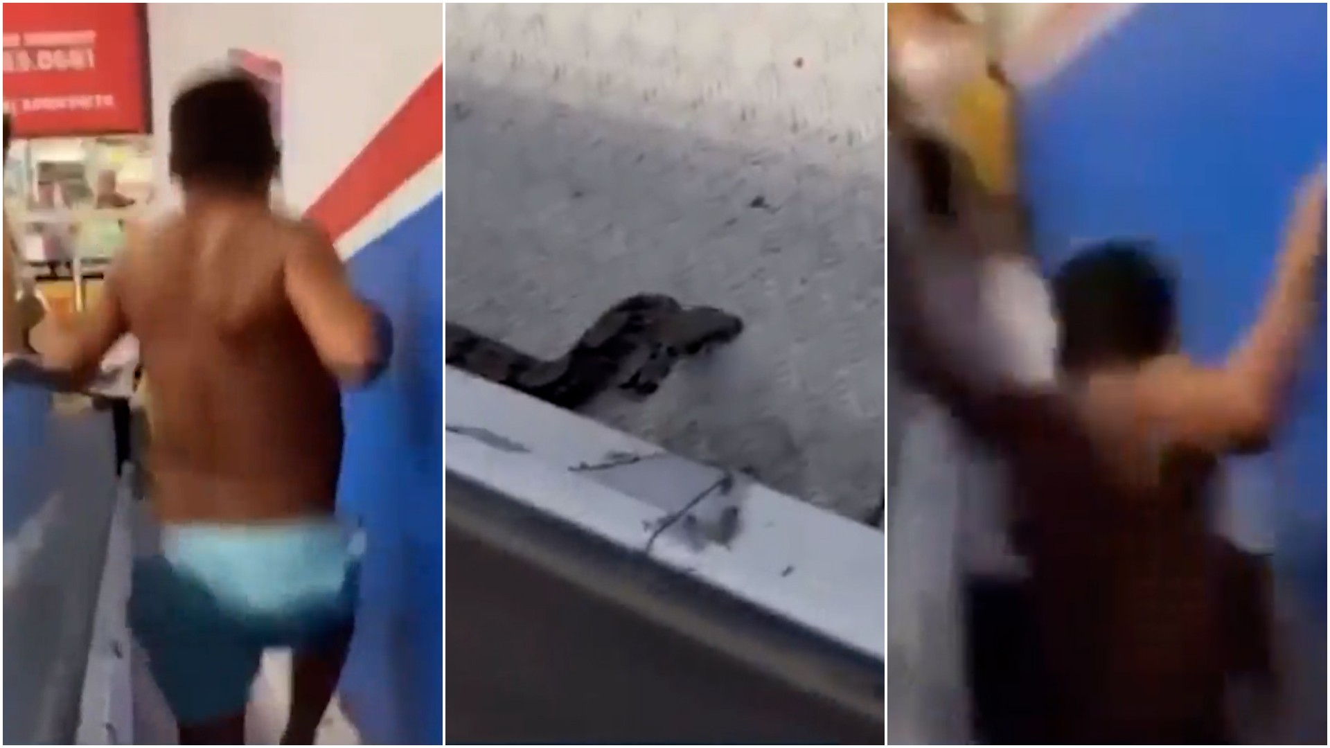 VÍDEO: Homem afunda em esteira rolante de supermercado ao tentar capturar cobra, em São Luís