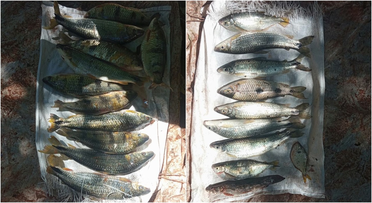 Homem é multado em mais de R$ 1 mil por pesca ilegal em Sandovalina 