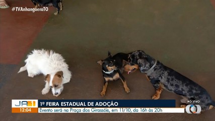 Estão abertas as inscrições para o desfile pet na 1ª Feira Estadual de Adoção