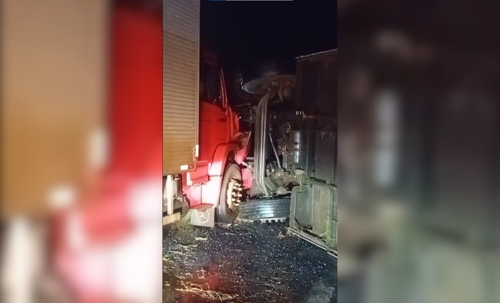 Ônibus tomba e é atingido por caminhão na rodovia Washington Luís, em Uchoa (SP) — Foto: TV TEM/Reprodução
