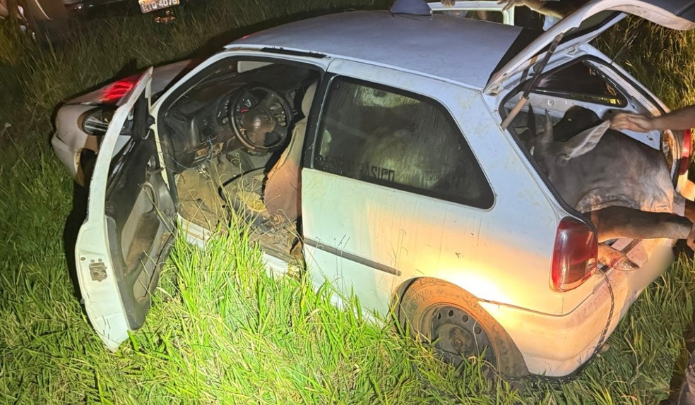 Bois Furtados Rosana — Foto: Polícia Militar/Divulgação