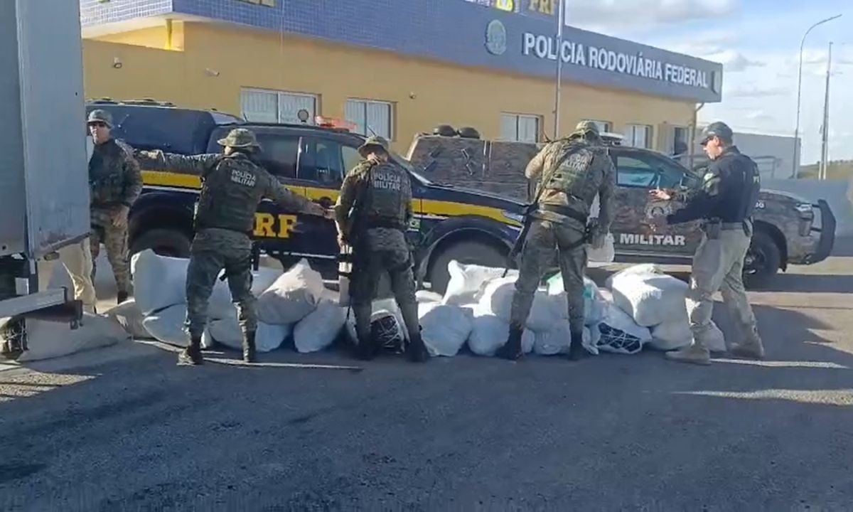 Mais de meia tonelada de maconha é apreendida no interior da Bahia